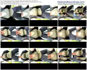 stripchat-squirtqueen-lisa-06-26-2024-17-33-16