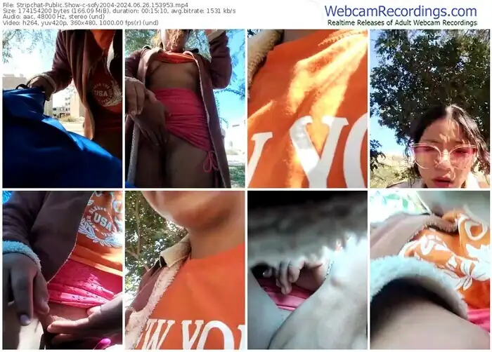 stripchat-sofy2004-06-26-2024-15-39-53