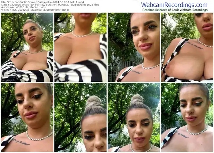 stripchat-cassiejollie-06-26-2024-11-41-11