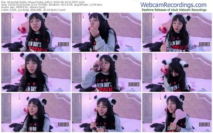 stripchat-katia_kitty1-06-26-2024-01-35-57