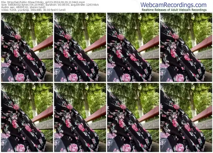 stripchat-risky_girl23-06-26-2024-11-34-42