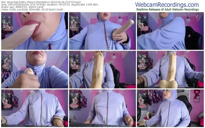 stripchat-shanaamin-06-26-2024-21-47-23