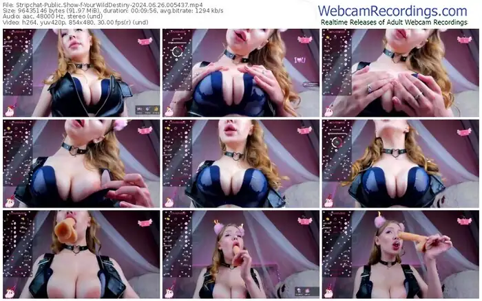 stripchat-yourwilddestiny-06-26-2024-00-54-37