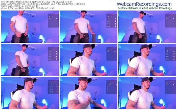 stripchat-nathanwolf1-06-26-2024-22-51-49