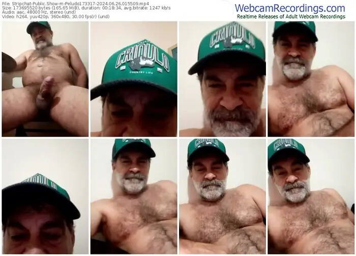 stripchat-peludo173317-06-26-2024-01-55-09