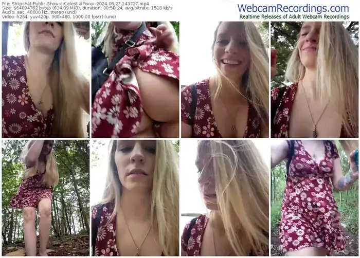 stripchat-celestialfoxxx-06-27-2024-14-37-27