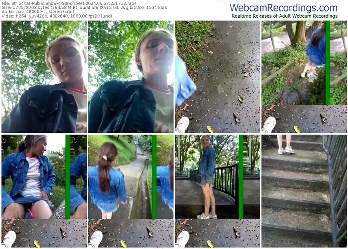 stripchat-sandribest-06-27-2024-22-17-12