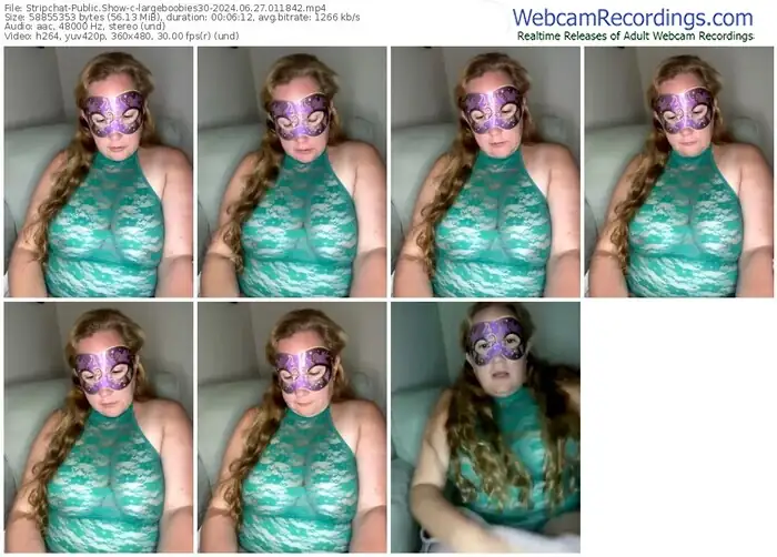 stripchat-largeboobies30-06-27-2024-01-18-42