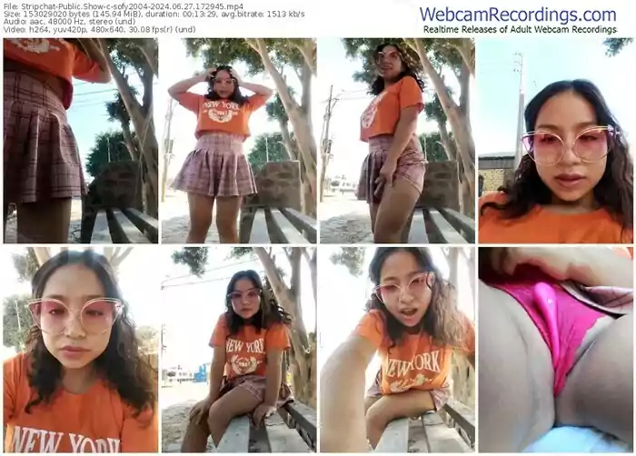 stripchat-sofy2004-06-27-2024-17-29-45