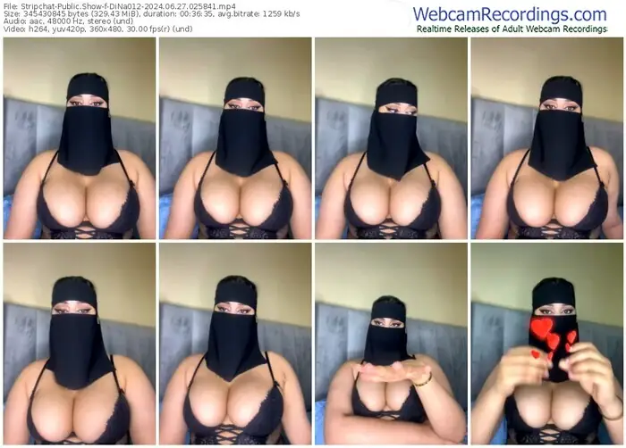 stripchat-dina012-06-27-2024-02-58-41