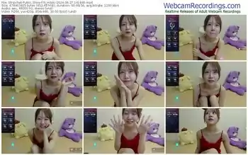 stripchat-n_hibiki-06-27-2024-16-18-40