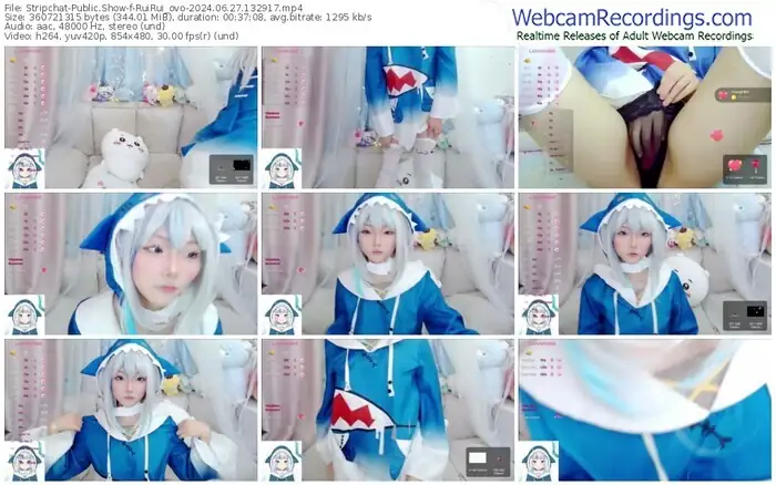 stripchat-ruirui_ovo-06-27-2024-13-29-17