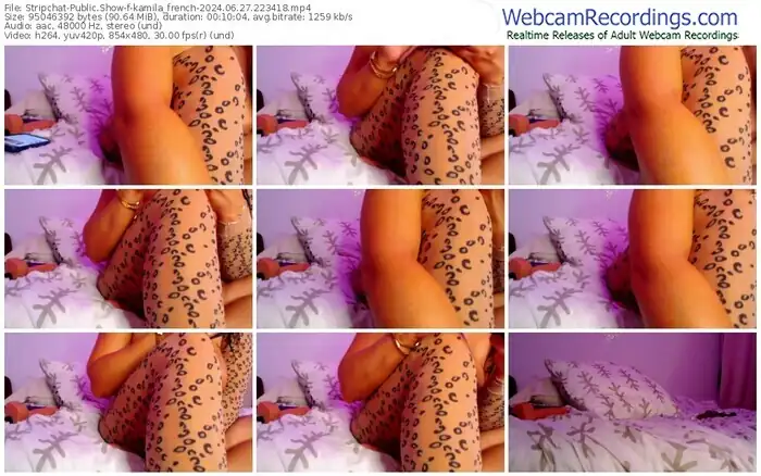 stripchat-kamila_french-06-27-2024-22-34-18