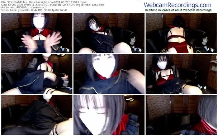 stripchat-mei_hosina-06-27-2024-12-19-19