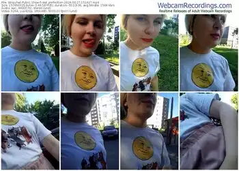 stripchat-real_perfection-06-27-2024-15-14-27