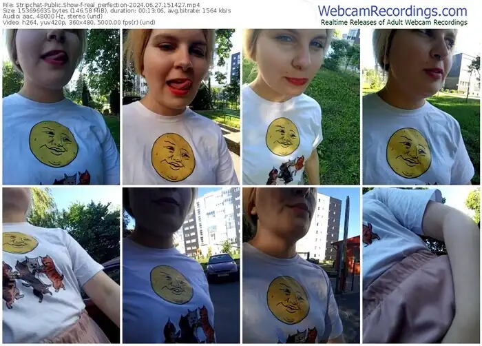 stripchat-real_perfection-06-27-2024-15-14-27