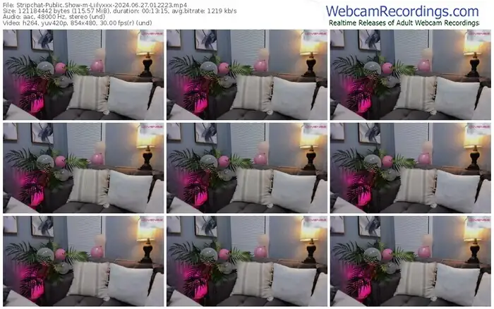 stripchat-liilyxxx-06-27-2024-01-22-23