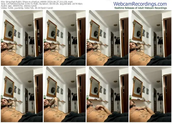 stripchat-charlye_inkkkk-06-27-2024-21-12-31