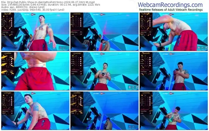 stripchat-danitattoshot23cmc-06-27-2024-06-21-36