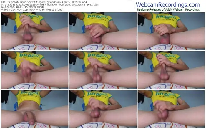stripchat-meganbigcockk-06-27-2024-01-29-10