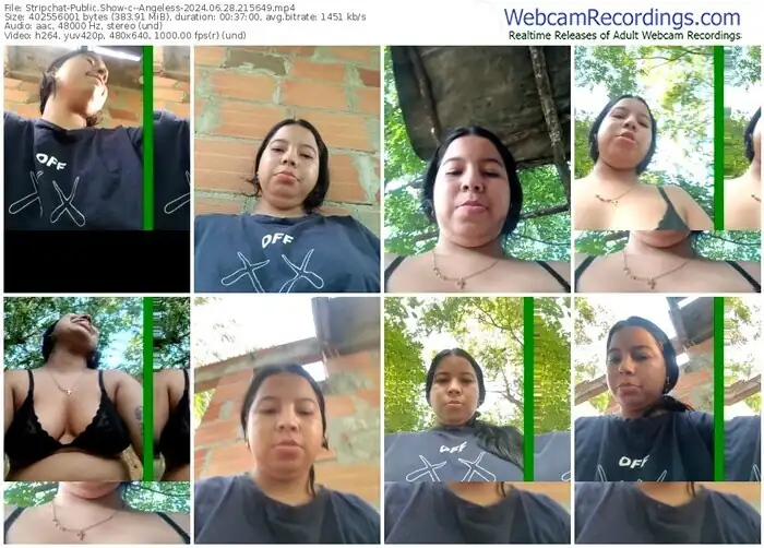 stripchat--angeless-06-28-2024-21-56-49