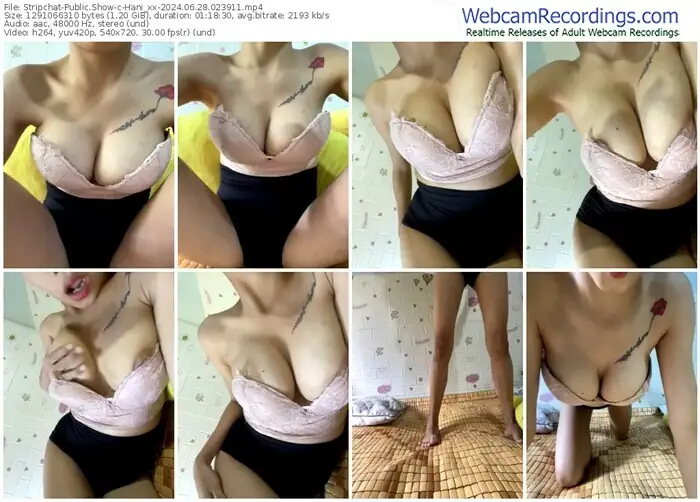 stripchat-hani_xx-06-28-2024-02-39-11