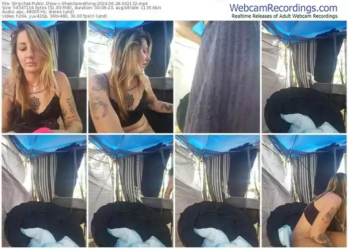 stripchat-sheissomething-06-28-2024-00-21-32