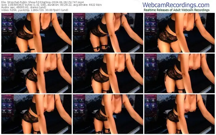 stripchat-d33aj3ssy-06-28-2024-15-17-47