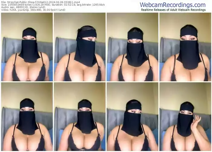 stripchat-dina012-06-28-2024-03-38-11