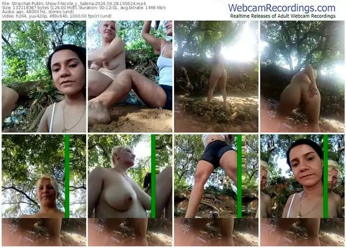 stripchat-nicole_y_sabina-06-28-2024-19-56-24