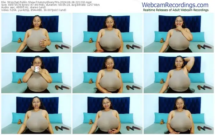 stripchat-yummyebonytits-06-28-2024-22-12-32
