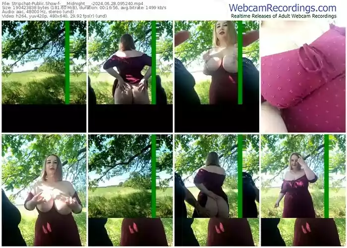 stripchat-___midnight___-06-28-2024-09-52-40