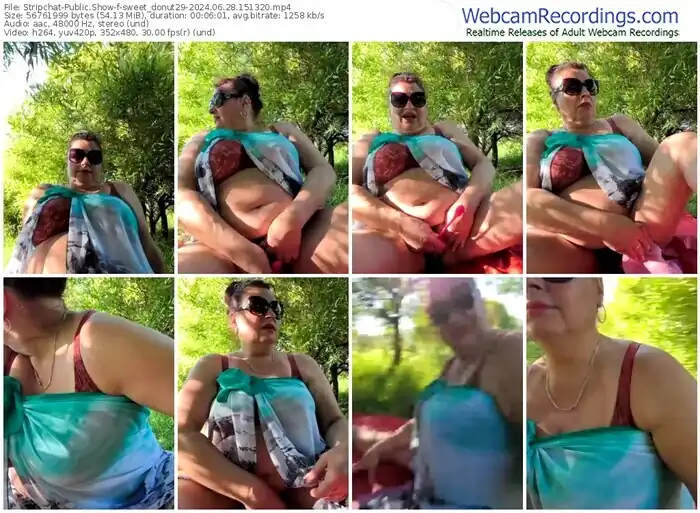 stripchat-sweet_donut29-06-28-2024-15-13-20