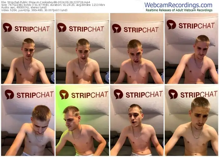 stripchat-cookieboy88-06-28-2024-22-37-26