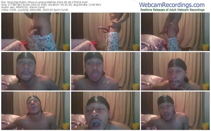 stripchat-anacondadee-06-28-2024-15-59-16