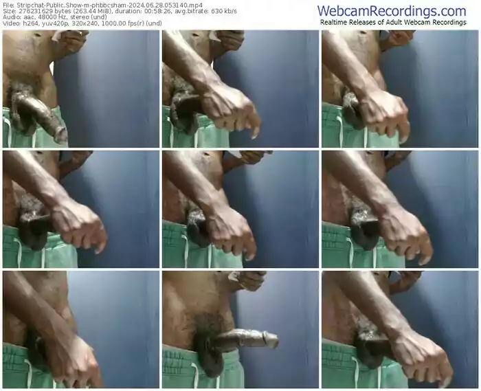 stripchat-phbbcsham-06-28-2024-05-31-40