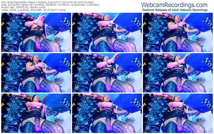 stripchat-stefany_bigcock77-06-28-2024-15-27-26