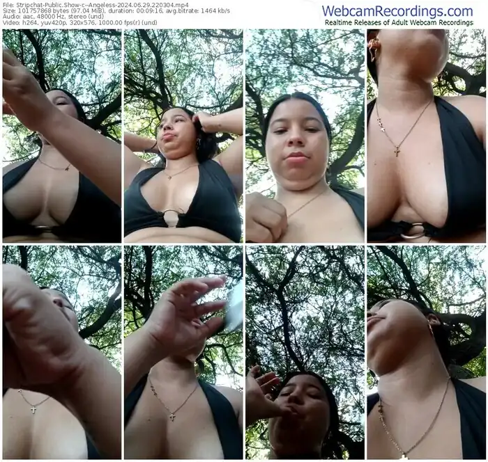 stripchat--angeless-06-29-2024-22-03-04