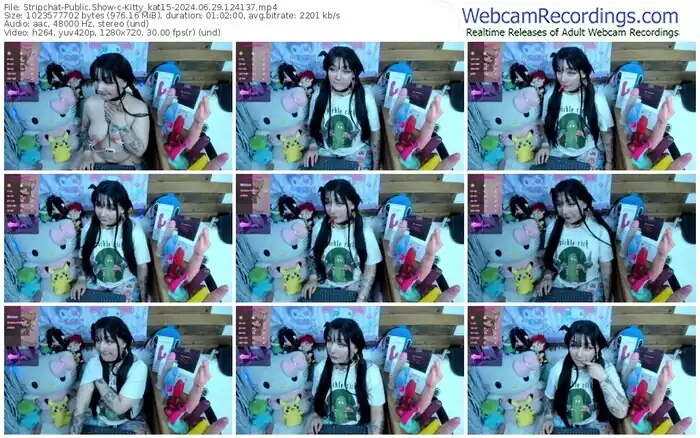 stripchat-kitty_kat15-06-29-2024-12-41-37