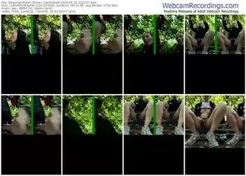 stripchat-sandribest-06-29-2024-21-22-37