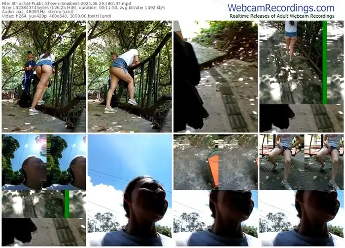 stripchat-snaibest-06-29-2024-18-01-37