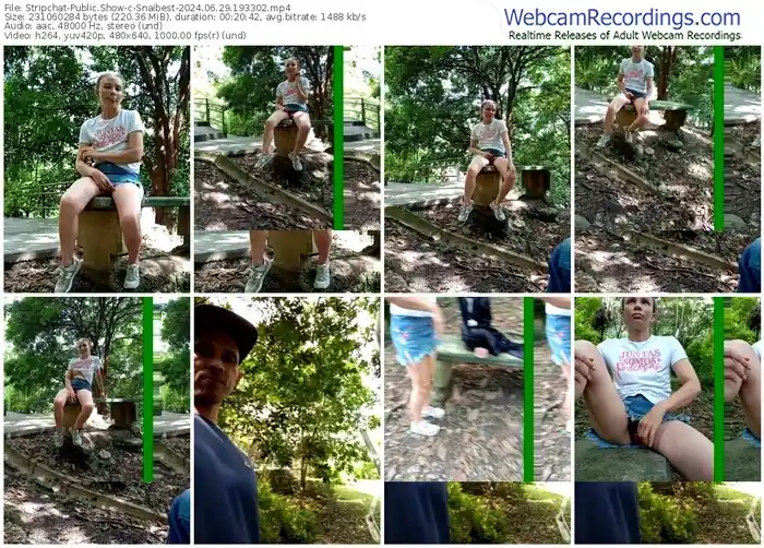 stripchat-snaibest-06-29-2024-19-33-02