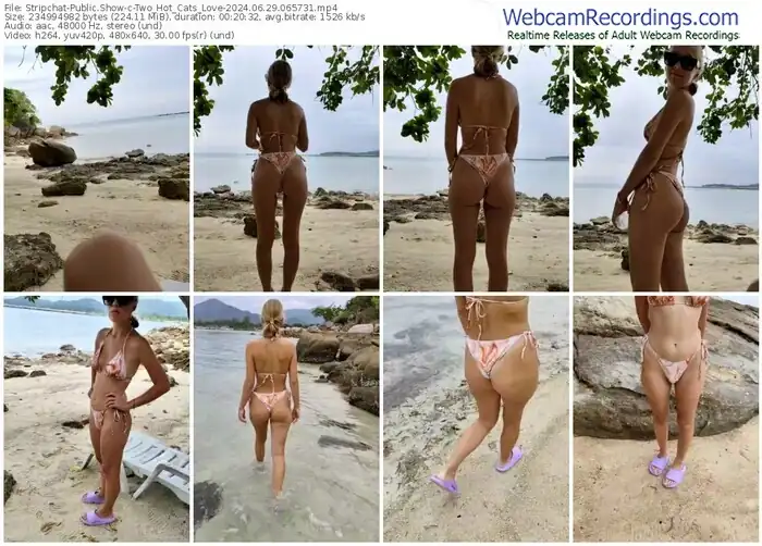 stripchat-two_hot_cats_love-06-29-2024-06-57-31