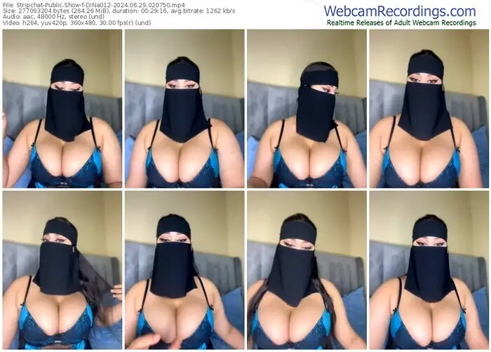 stripchat-dina012-06-29-2024-02-07-50