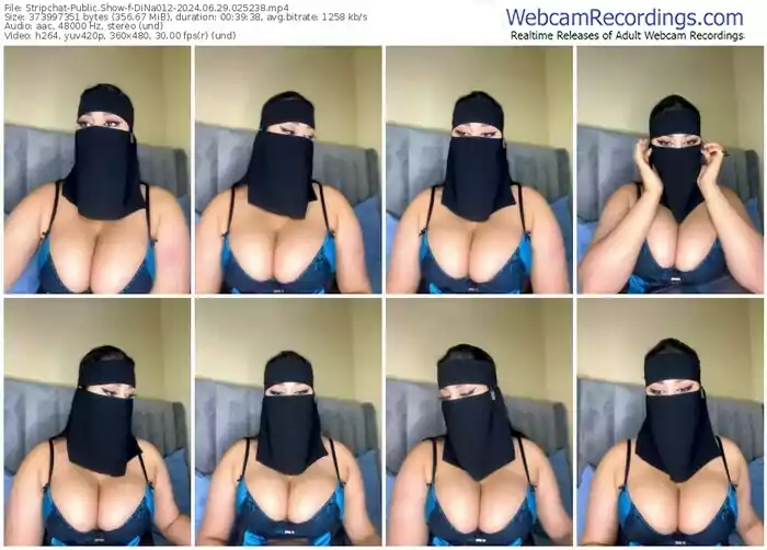 stripchat-dina012-06-29-2024-02-52-38