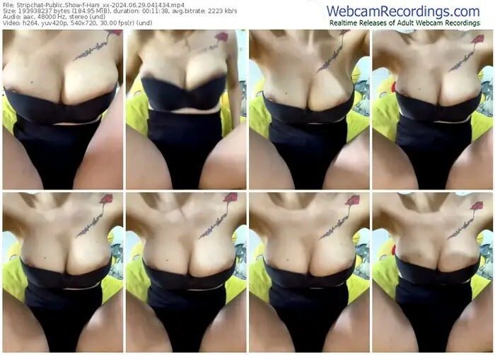 stripchat-hani_xx-06-29-2024-04-14-34