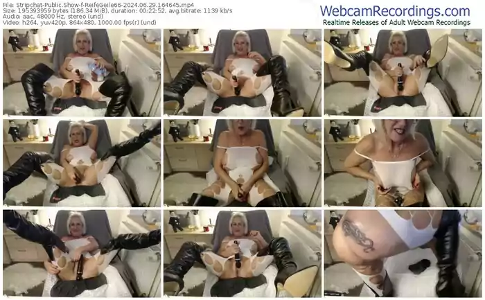 stripchat-reifegeile66-06-29-2024-16-46-45