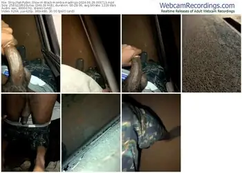 stripchat-black-mamba-madingo-06-29-2024-00-37-13