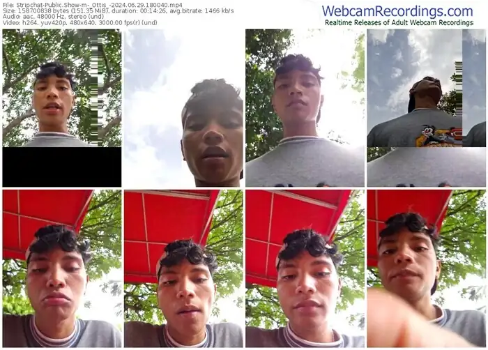 stripchat-_ottis_-06-29-2024-18-00-40
