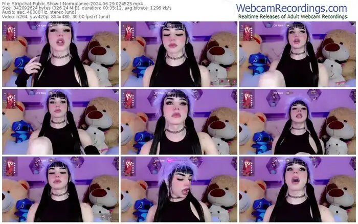 stripchat-normalanee-06-29-2024-02-45-25